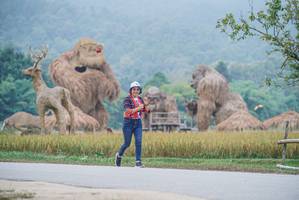 BIB: 
                            <button type="button" onclick="openModal(22304468)" class="btn btn-primary btn-sm float-right btn-popup" data-toggle="modal" data-target=".modal-high-quality">
                        <i class="fas fa-shopping-cart"></i> Add to Cart
                    </button>
                                            <button type="button" onclick="isThisMe(22304468, true)" class="btn btn-success btn-sm float-right btn-popup btn-isme hidden" data-toggle="tooltip" data-placement="bottom" title="นี่คือรูปของคุณใช่ไหม คลิกที่นี่เพื่อเอาเข้าอัลบั้ม">
                        <i class="fas fa-plus"></i> Add to album
                    </button>
                    <button type="button" onclick="isThisMe(22304468, false)" class="btn btn-warning btn-sm float-right btn-popup btn-isnotme hidden">
                        <i class="fas fa-ban"></i> Remove from album
                    </button>